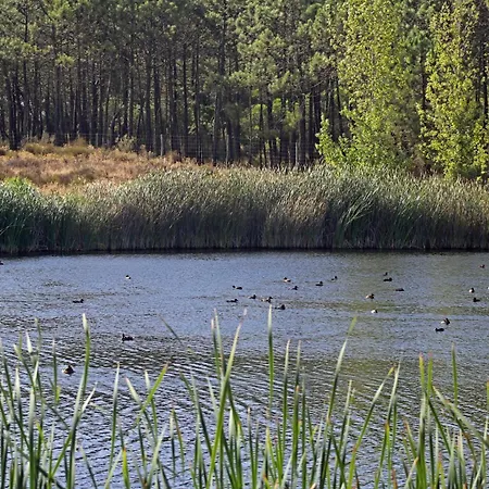 Audiencia 38 Вилла *