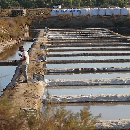 빌라 Audiencia 38 몬뜨고르두